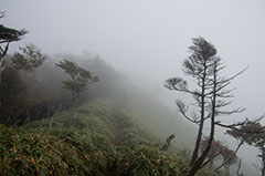 赤薙山