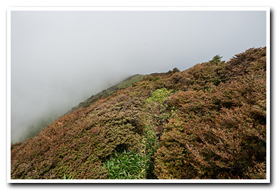 赤薙山