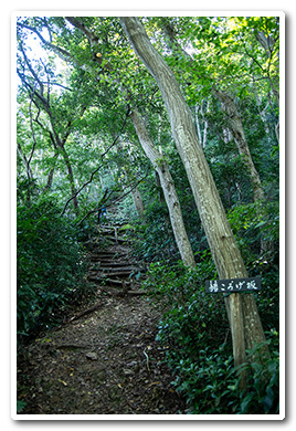 雨巻山
