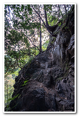 棒ノ折山