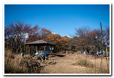 棒ノ折山