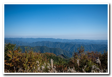 棒ノ折山