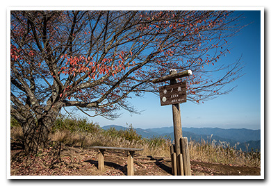 棒ノ折山