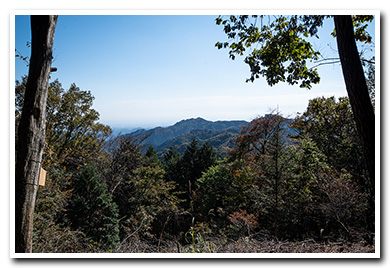 棒ノ折山