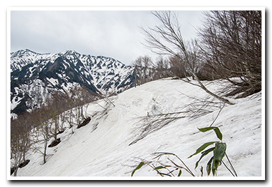 越後駒ヶ岳