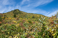 東吾妻山
