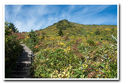 東吾妻山