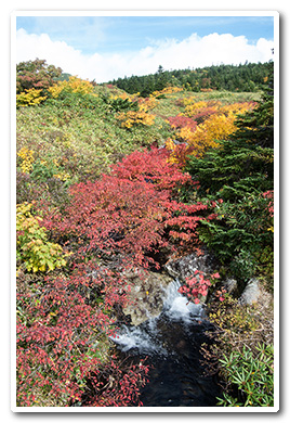 東吾妻山