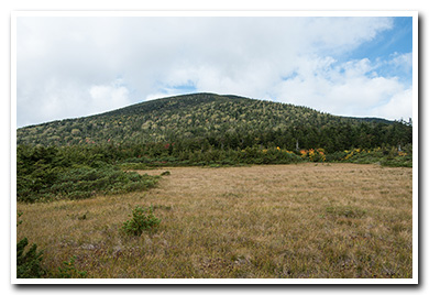 東吾妻山