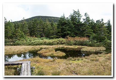 東吾妻山