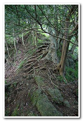 籠岩山