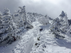 北八ヶ岳