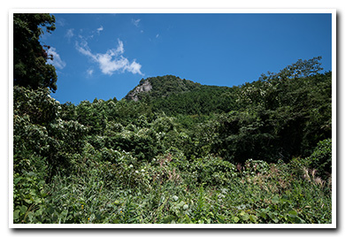 古賀志山