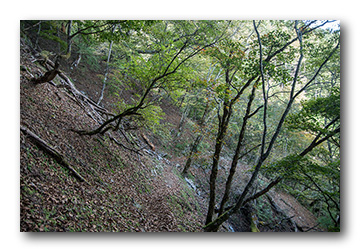 雲取山〜石尾根縦走