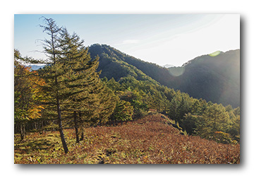 雲取山〜石尾根縦走〜高丸山