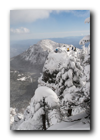 黒斑山