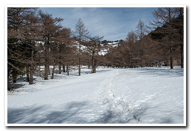 前掛山（浅間山）