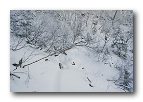 日光白根山