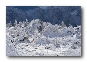 日光白根山