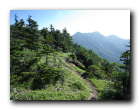 大真名子山