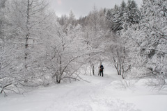 入笠山