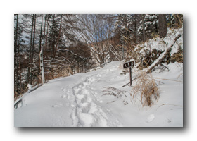 入笠山