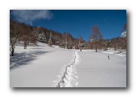 入笠山