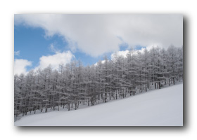 入笠山