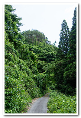 御岩山