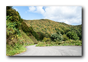 新保岳