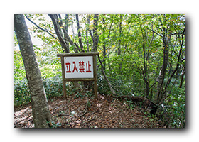 新保岳