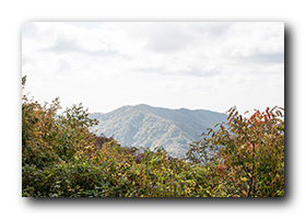 新保岳