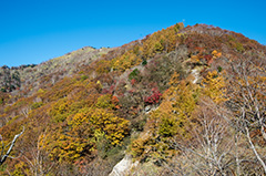 社山〜半月山
