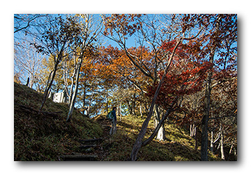 社山