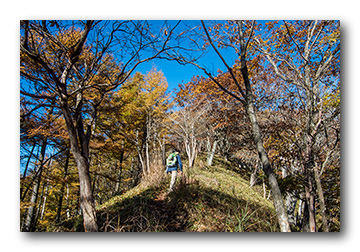 社山