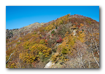 社山