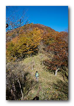 社山