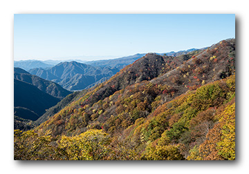 社山