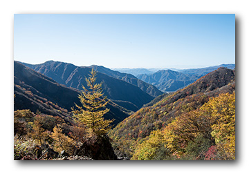 社山