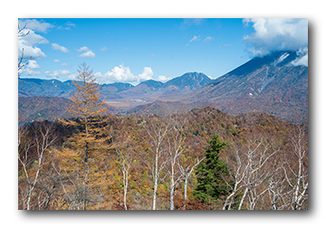 社山