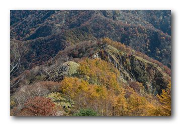 社山
