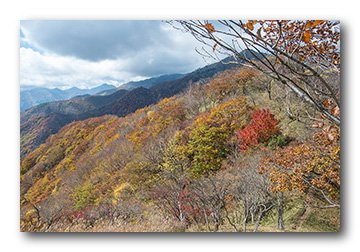 社山