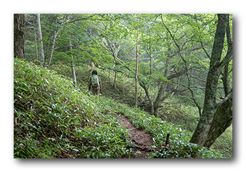 日光高山