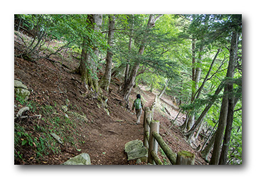 日光高山