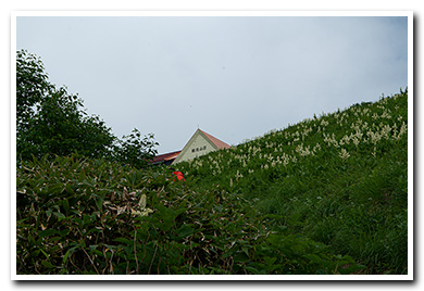 種池山荘