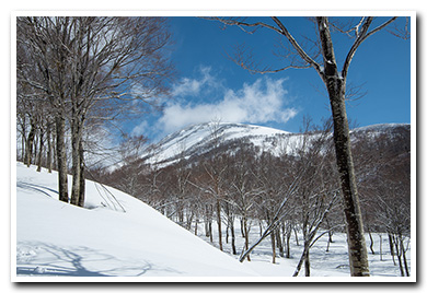 湯殿山