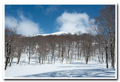湯殿山