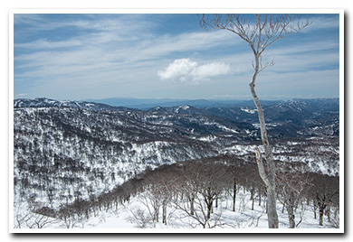 湯殿山